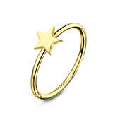 Gold Plated Star Nose Rings NSKR-05-GP